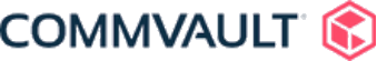 Partner Principal