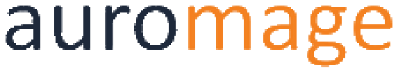 Partner Principal
